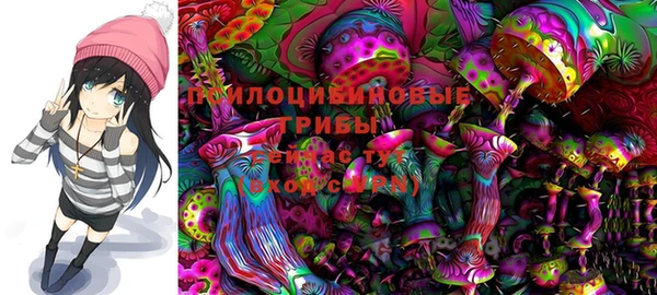 индика Волосово