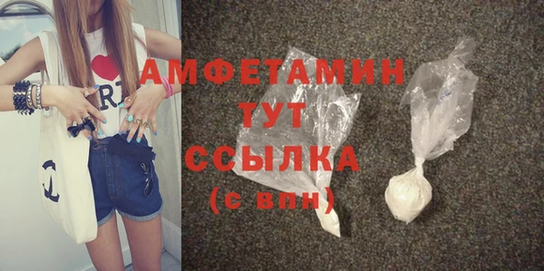 индика Волосово