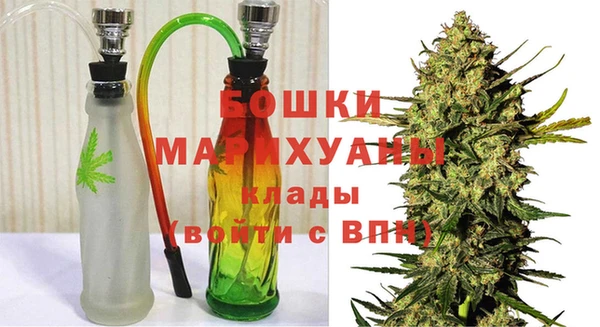 ГАЛЛЮЦИНОГЕННЫЕ ГРИБЫ Верея