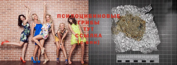 индика Волосово