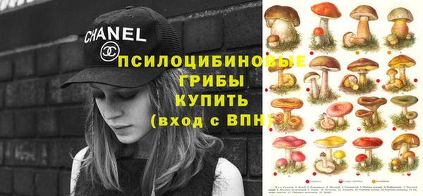 ECSTASY Володарск