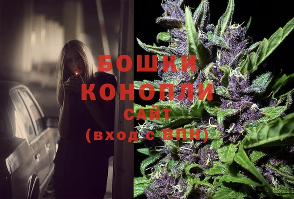 ГАЛЛЮЦИНОГЕННЫЕ ГРИБЫ Верея
