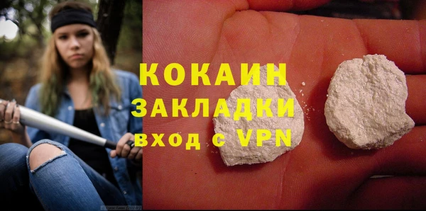 индика Волосово
