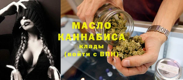 индика Волосово