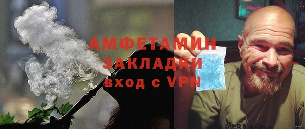 индика Волосово
