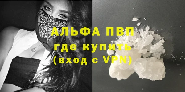ГАЛЛЮЦИНОГЕННЫЕ ГРИБЫ Верея